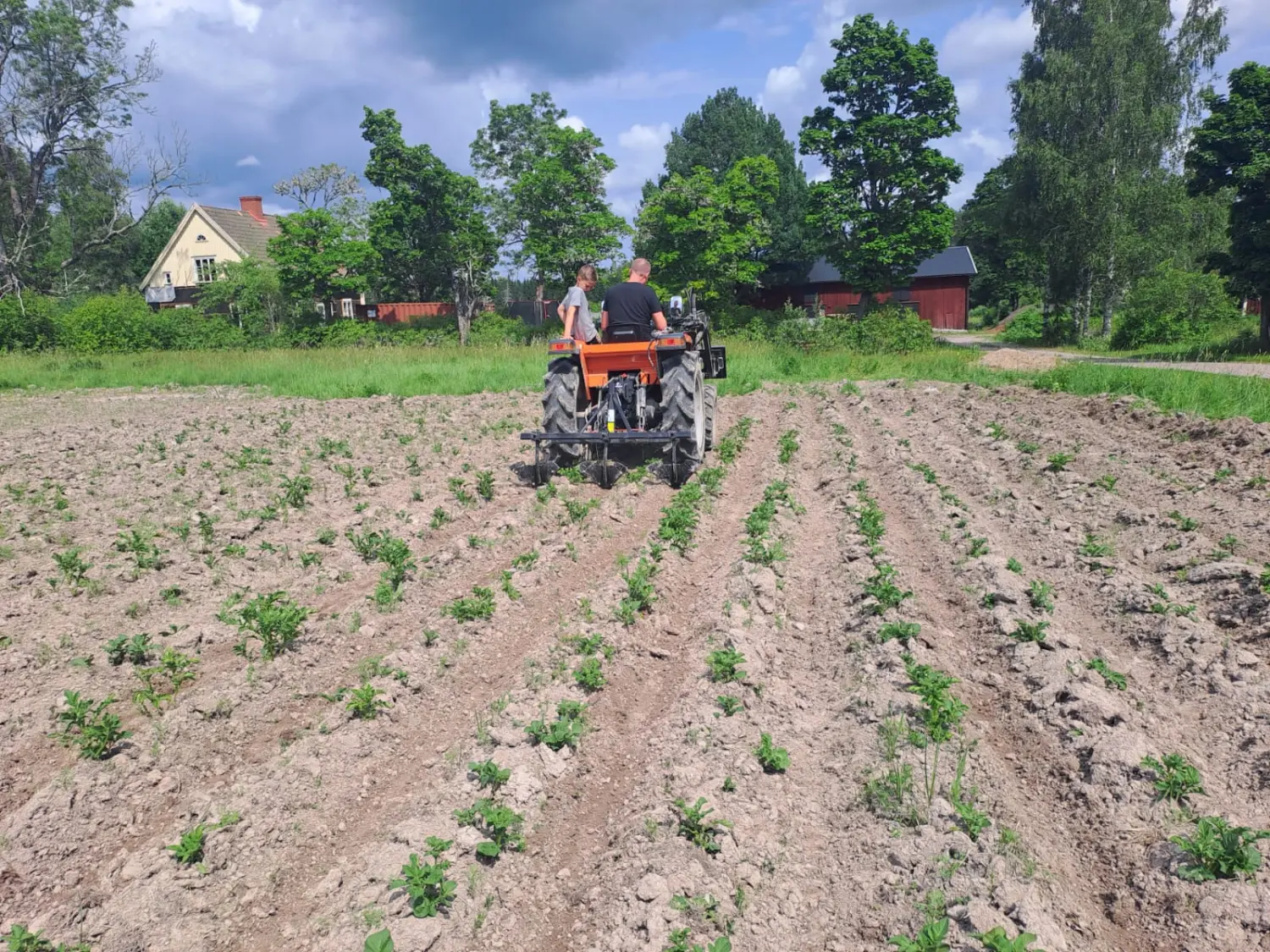 Frisch vom Bauernhof Värmlands Fältkök